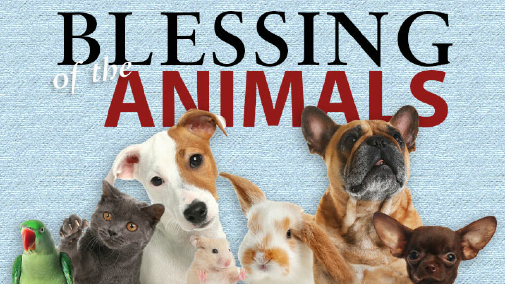 Annual Pet Blessing